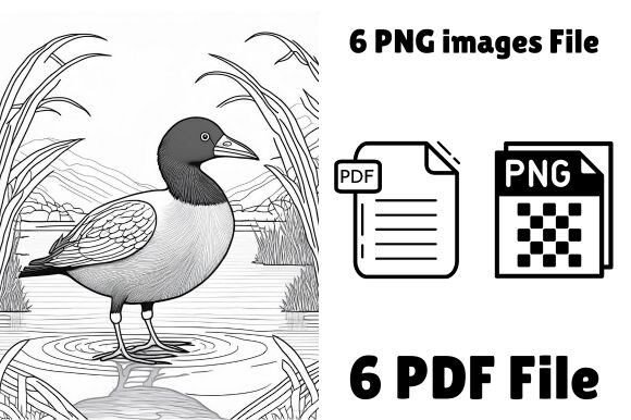 American Black Duck Coloring Pages